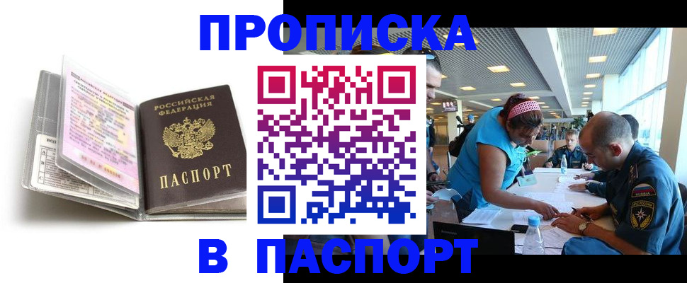 временная регистрация поиск в Елизово